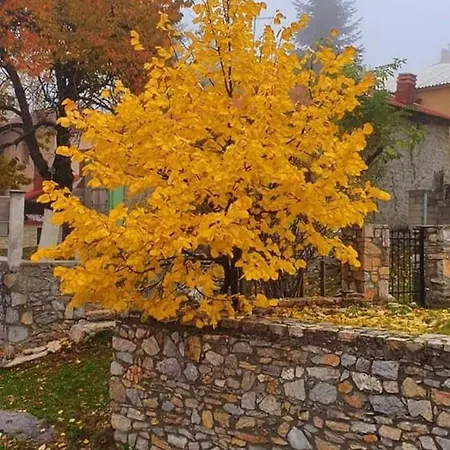 Pensjonat Casa Di Selia καραφώλας σέλι