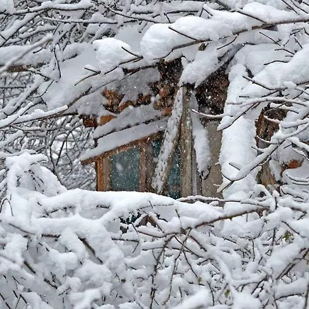 Casa Di Selia καραφώλας σέλι